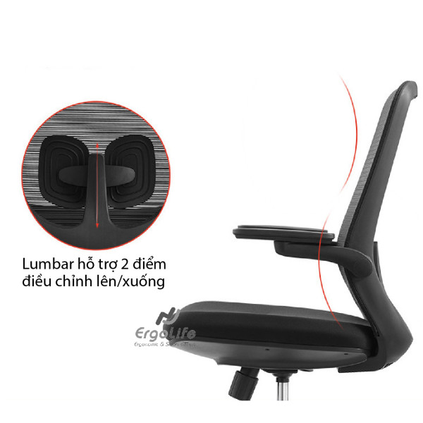 Ghế Công Thái Học B2