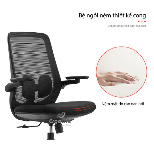 Ghế Công Thái Học B2