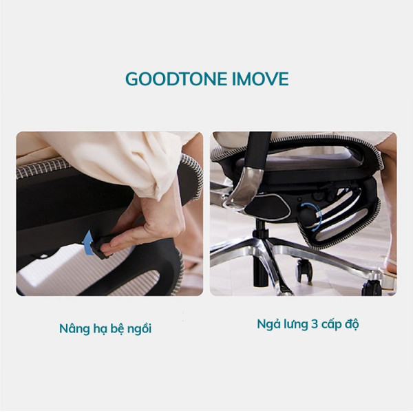 Ghế Công Thái Học Cao Cấp Goodtone IMove
