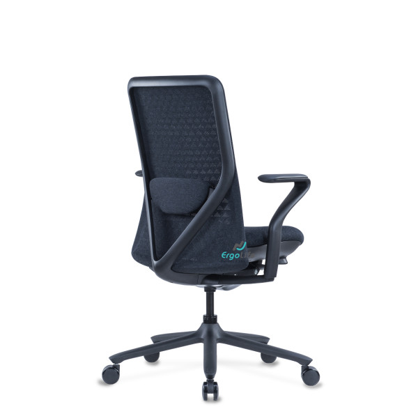 Ghế Công Thái Học Cao Cấp Goodtone Poly