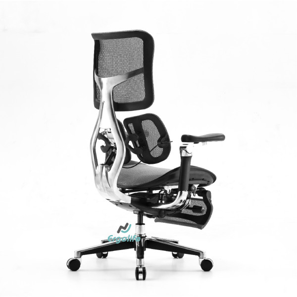 Ghế Công Thái Học Cao Cấp Doro S300 (AU) - Bản 2.0 2024