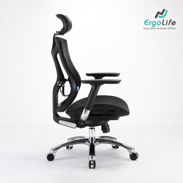 Ghế Công Thái Học V1 Đen/Xám