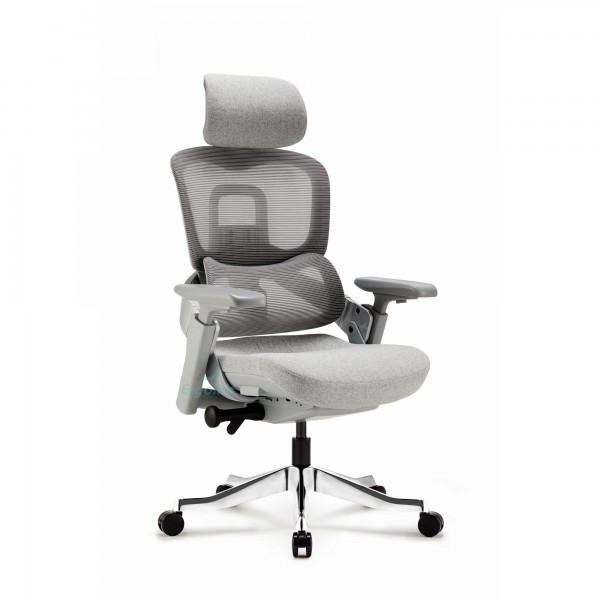 Ghế Công Thái Học Cao Cấp MC-1137E Đen/Xám