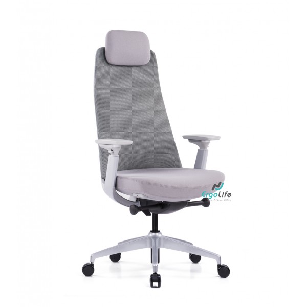 Ghế Công Thái Học Cao Cấp Goodtone Yucan