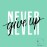 Quote "Never Give Up" -OQ1-018