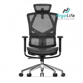 Ergonomic Chair Sihoo M90C
