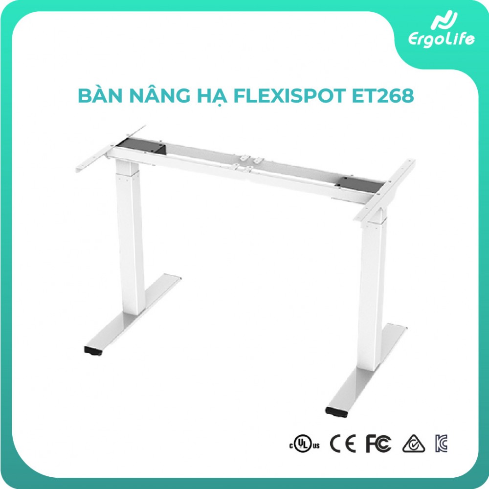 Ergonomic desk frame Flexispot ET268 (no desktop)