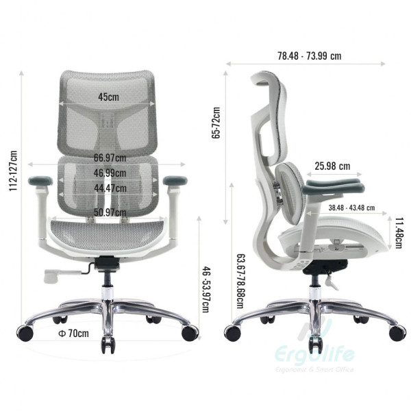 Ghế Công Thái Học Cao Cấp Doro S100