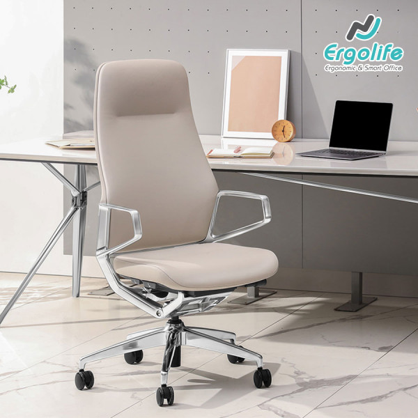 Ghế Công Thái Học Cao Cấp Goodtone Arico