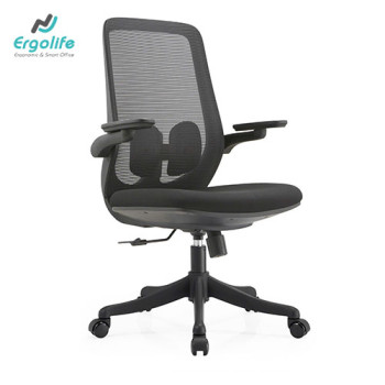 Ghế Công Thái Học B2