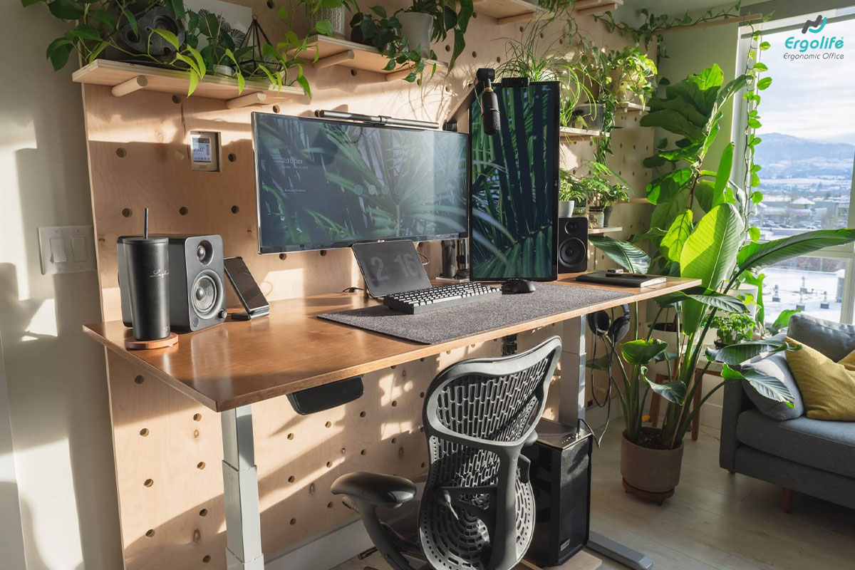 Setup không gian làm việc xanh – Tăng thoải mái, gặt hái thành công